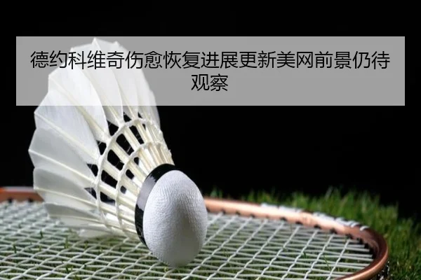 德约科维奇伤愈恢复进展更新美网前景仍待观察
